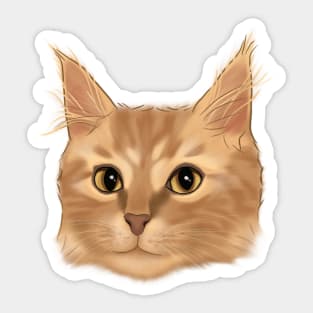 Orange Tabby Cat Portrait Sticker